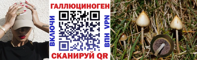 Галлюциногенные грибы прущие грибы  Зеленоградск 